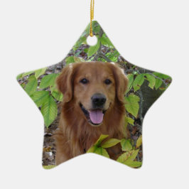 ORNAMENTO DE LA ESTRELLA DEL GOLDEN RETRIEVER