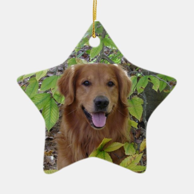 ORNAMENTO DE LA ESTRELLA DEL GOLDEN RETRIEVER (Frente)