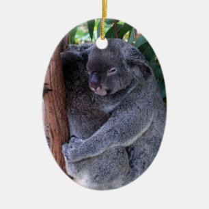 Ornamento de la familia de la koala