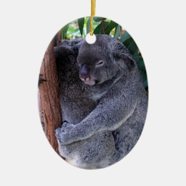 Ornamento de la familia de la koala (Frente)