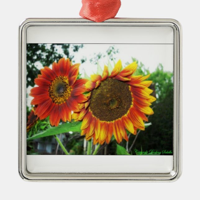 Ornamento de la flora del árbol de navidad (Frente)