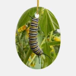 Ornamento de la foto