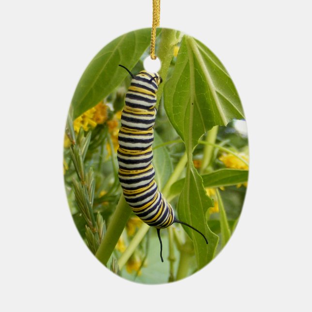 Ornamento de la foto (Frente)