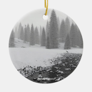 Ornamento de la foto de la cala Nevado