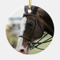 Ornamento de la foto del caballo de Warmblood