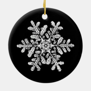 Ornamento de la foto del copo de nieve