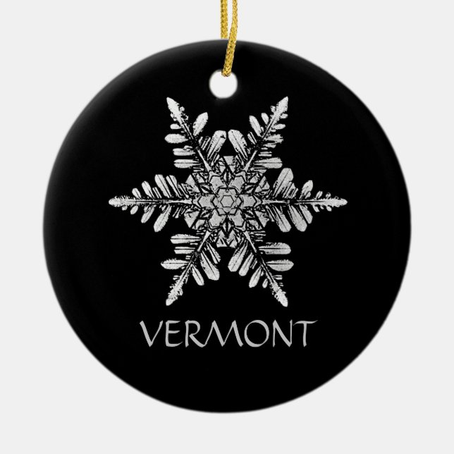 Ornamento de la foto del copo de nieve a modificar (Frente)