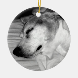 ornamento de la foto del perro 311-Custom