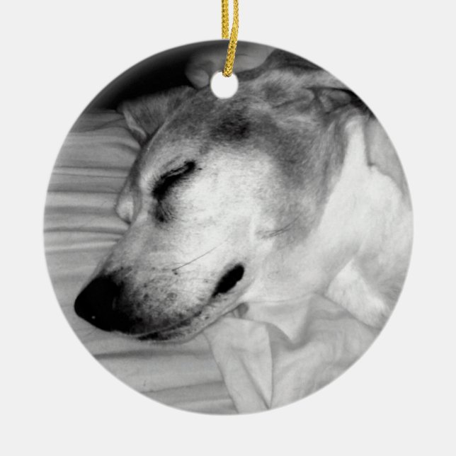 ornamento de la foto del perro 311-Custom (Frente)