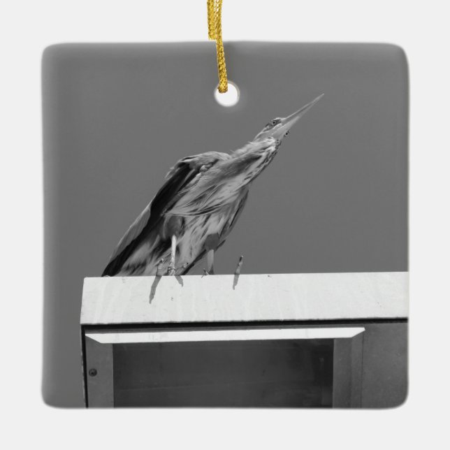 Ornamento de la garza azul (Anverso)