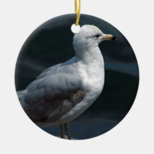 Ornamento de la gaviota