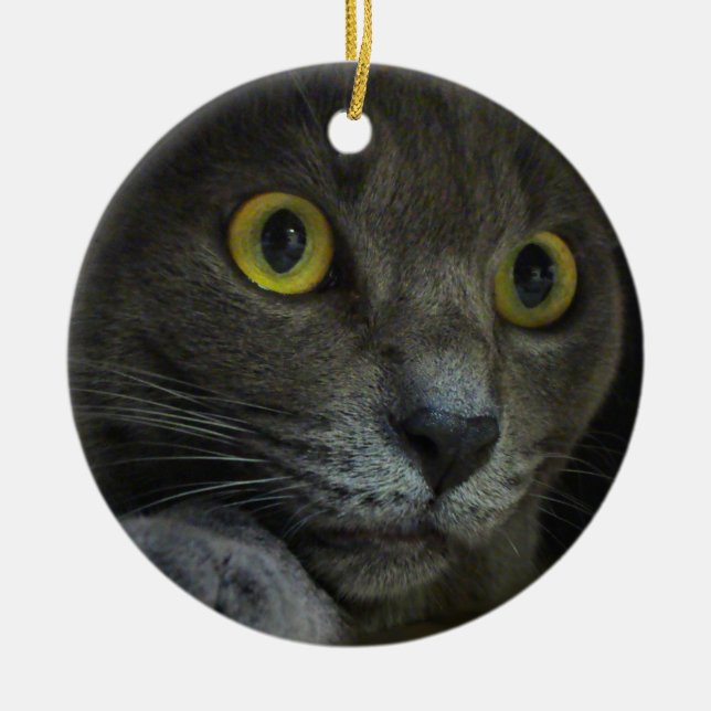 Ornamento de la intensidad (Frente)