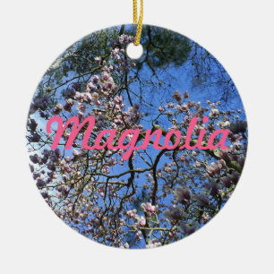 Ornamento de la magnolia