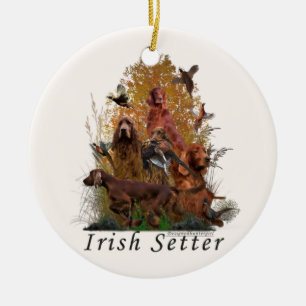 Ornamento de la manta del Poster irlandés