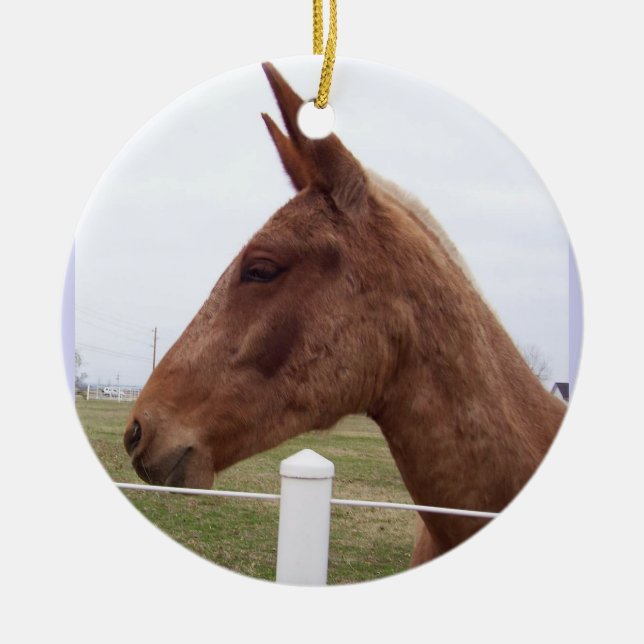 Ornamento de la marea de la mula (Frente)