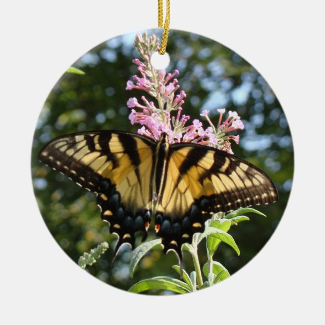 Ornamento de la mariposa (Frente)