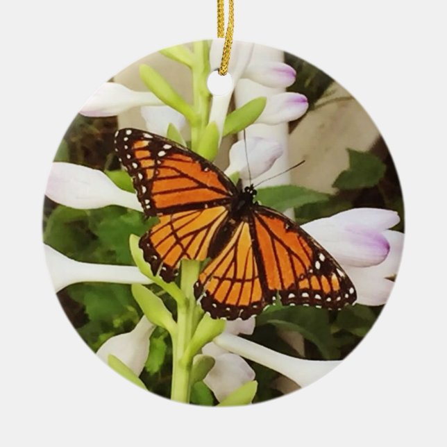 Ornamento de la mariposa (Frente)