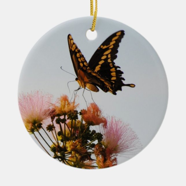Ornamento de la mariposa de monarca (Frente)