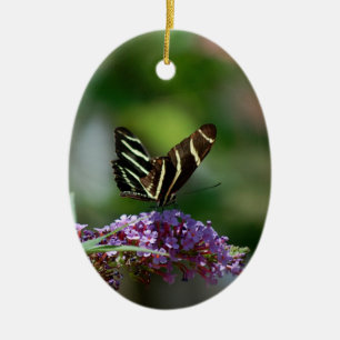 Ornamento de la mariposa y de la flor/tapiz