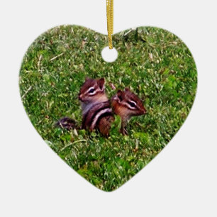 Ornamento de la naturaleza animal de los Chipmunks