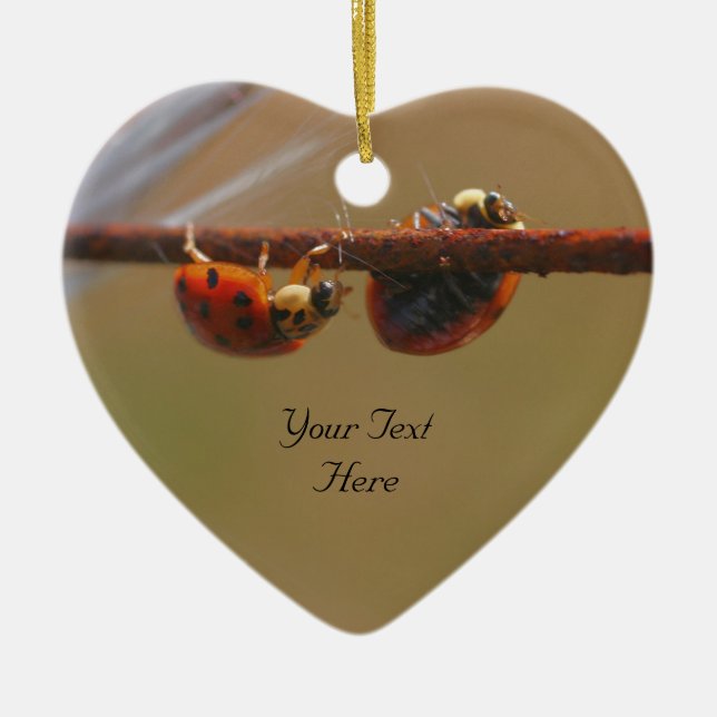 Ornamento de la Naturaleza Cuta de Ladybugs para e (Frente)