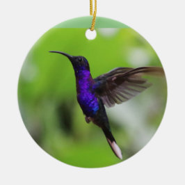 Ornamento de la Navidad del colibrí púrpura