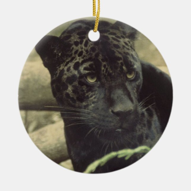 Ornamento de la pantera negra (Frente)