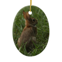 Ornamento de la primavera/de Pascua: conejo y