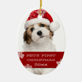 Ornamento de la primera foto Mascota de Navidad| R