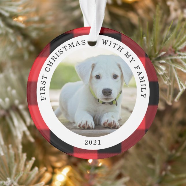 Ornamento de la primera foto navideña de búfalo co (Árbol)