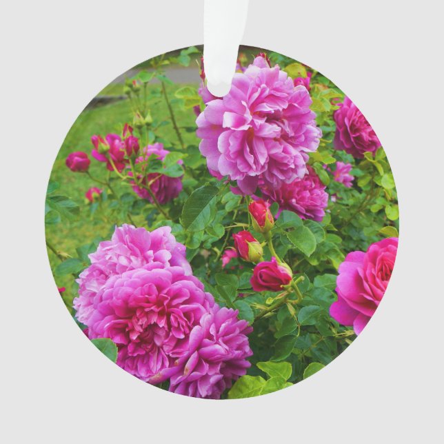 Ornamento de la princesa Anne Rosa #2-2 (Anverso)
