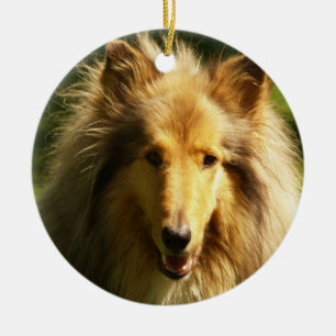 Ornamento de la raza del perro del collie