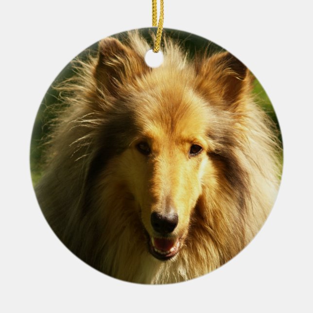 Ornamento de la raza del perro del collie (Frente)