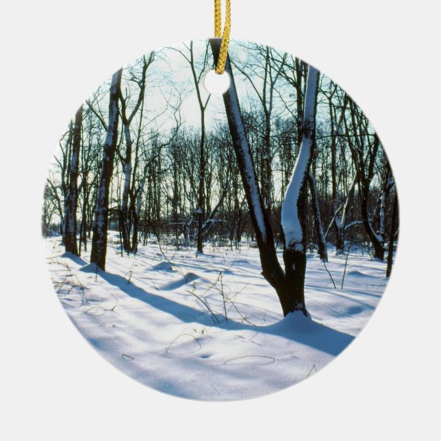 Ornamento de la Ronda de Winter Woods (Frente)