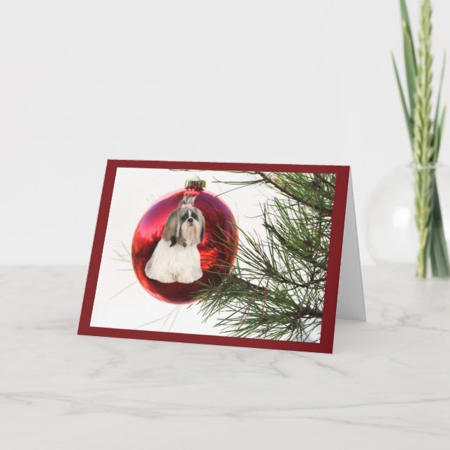 Ornamento de la tarjeta de Navidades shih Tzu (Anverso)