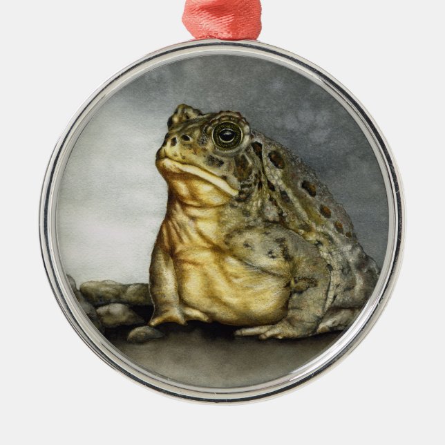 Ornamento de la toad de Woodhouse (Frente)