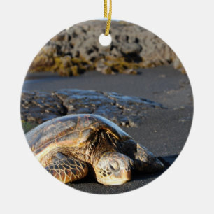 Ornamento de la tortuga de mar