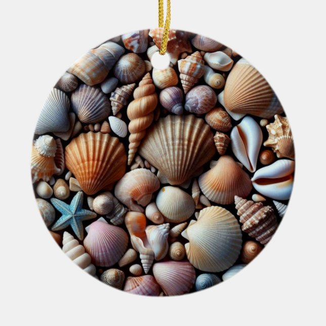Ornamento de las conchas marinas (Frente)