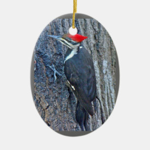 Ornamento de las Felices Navidad de la pulsación