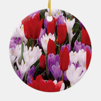 Ornamento de las flores de tulipán coloridas