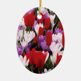Ornamento de las flores de tulipán coloridas