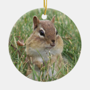 Ornamento de las mejillas de Chipmunk