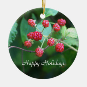 Ornamento de las ramas de Berry
