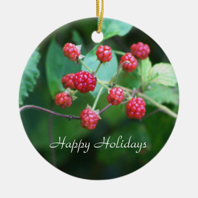 Ornamento de las ramas de Berry (Frente)