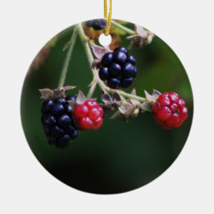 Ornamento de las ramas de Berry