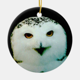 Ornamento De Lechuza Snowy