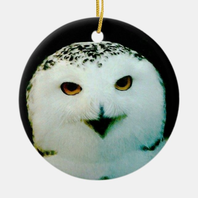 Ornamento De Lechuza Snowy (Frente)