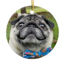 Ornamento de Lil Pickles Da Pug
