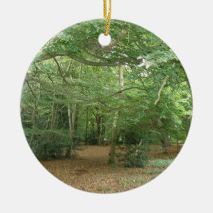 Ornamento de limpieza de bosques