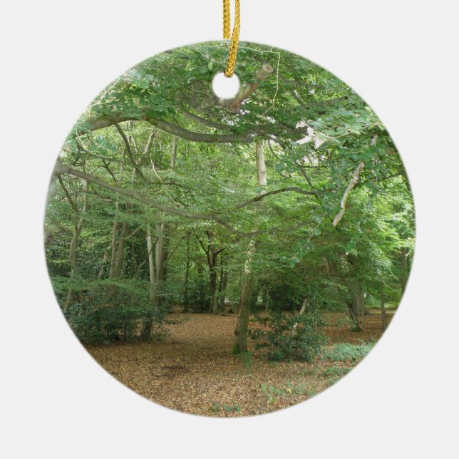 Ornamento de limpieza de bosques (Frente)